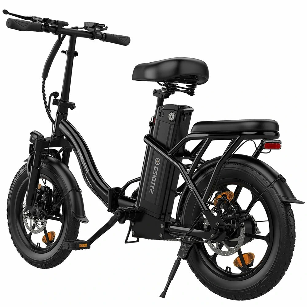 ESKUTE D100 (EU) Electric Bike