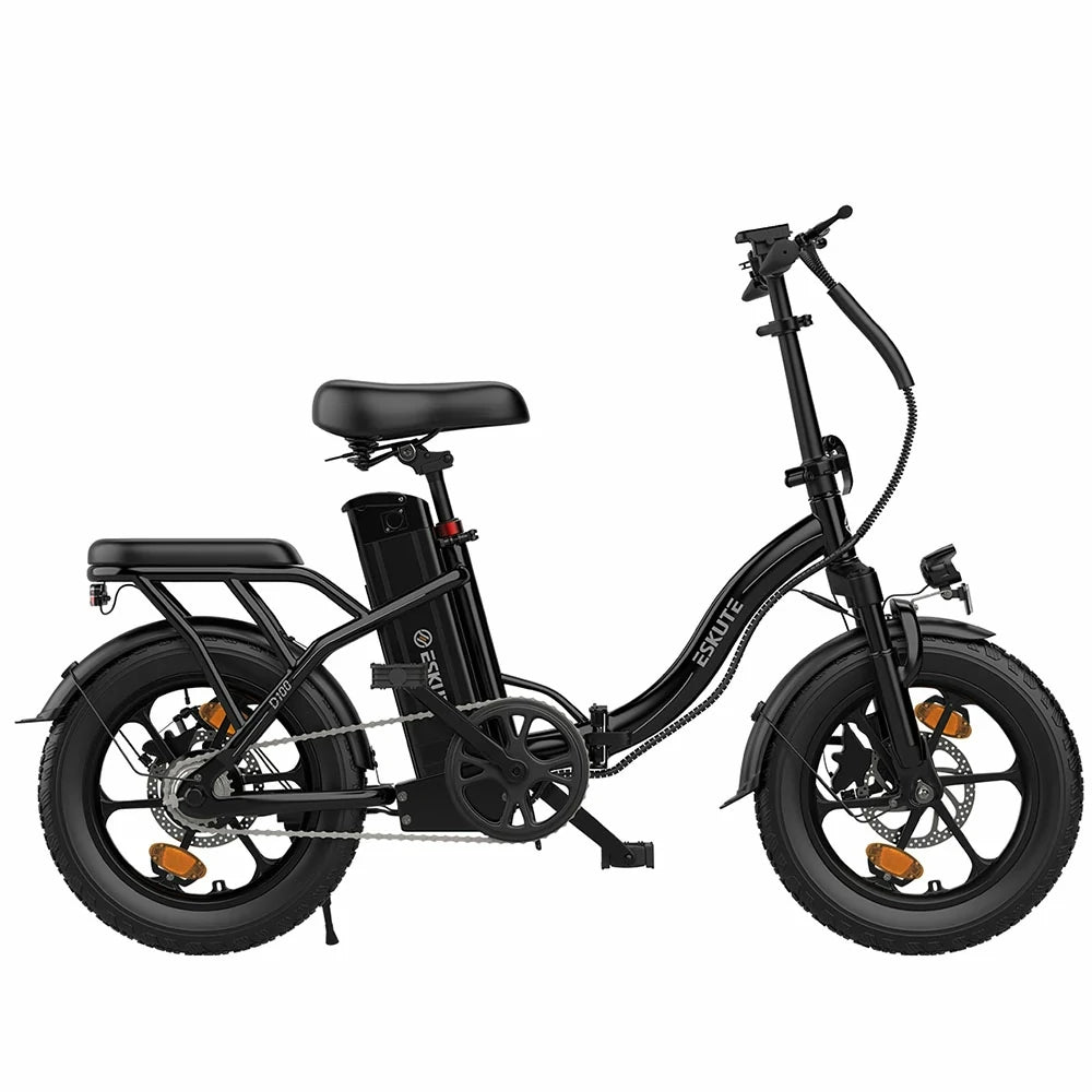 ESKUTE D100 (EU) Electric Bike