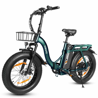 ESKUTE D202 (EU) Electric Bike
