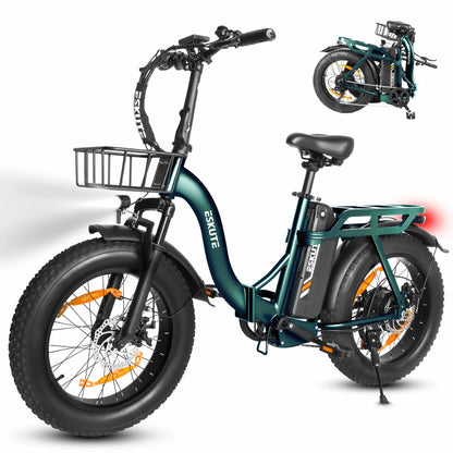 ESKUTE D202 (EU) Electric Bike